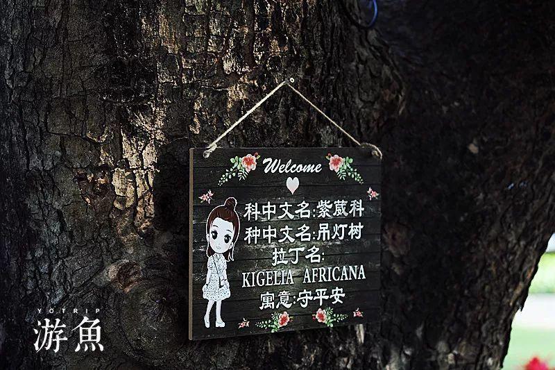 【“香”爱冰雪季】哈平路街道：建立“温暖之家” 服务群众暖人心